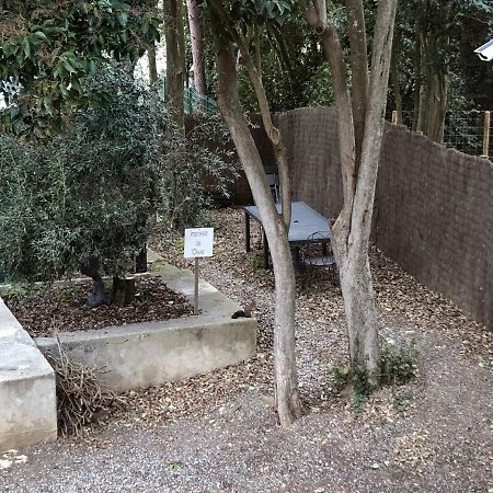 Au Vieux Lavoir Avec Parking Prive, Jardin , Climatisation, A 500 M De La Cite Carcassonne Exteriör bild