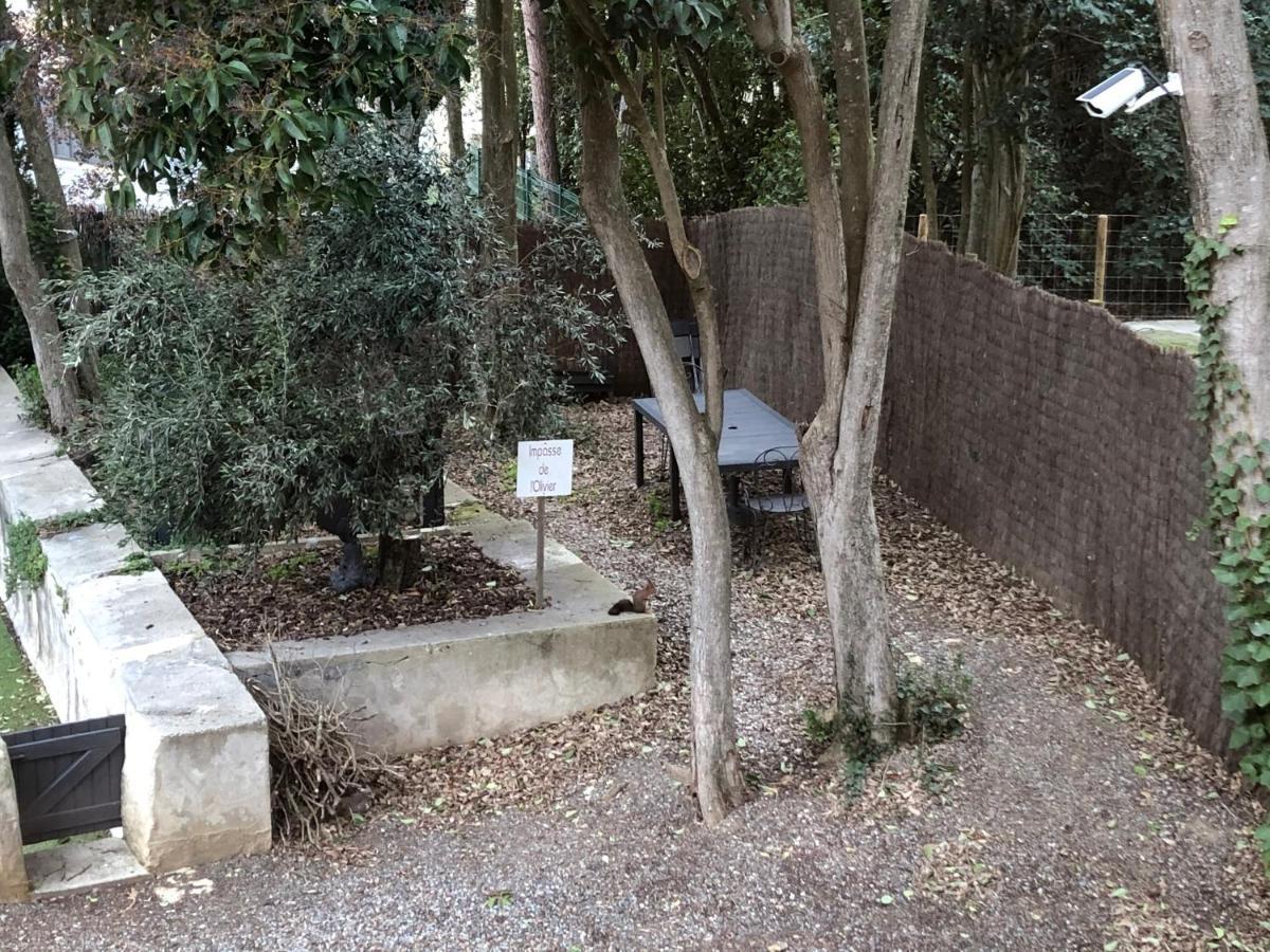 Au Vieux Lavoir Avec Parking Prive, Jardin , Climatisation, A 500 M De La Cite Carcassonne Exteriör bild