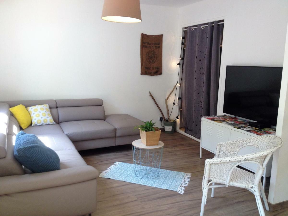 Au Vieux Lavoir Avec Parking Prive, Jardin , Climatisation, A 500 M De La Cite Carcassonne Exteriör bild