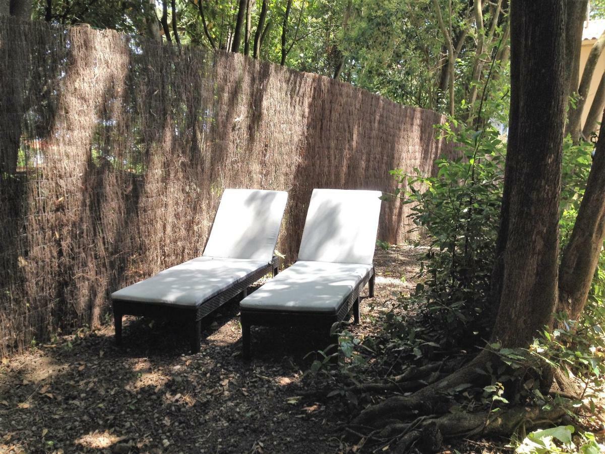 Au Vieux Lavoir Avec Parking Prive, Jardin , Climatisation, A 500 M De La Cite Carcassonne Exteriör bild